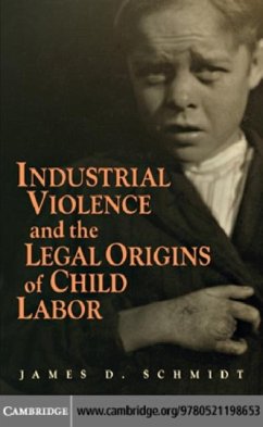 Industrial Violence and the Legal Origins of Child Labor (eBook, PDF) - Schmidt, James D.