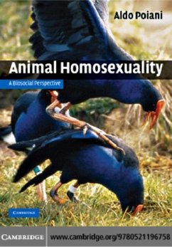 Animal Homosexuality (eBook, PDF) - Poiani, Aldo