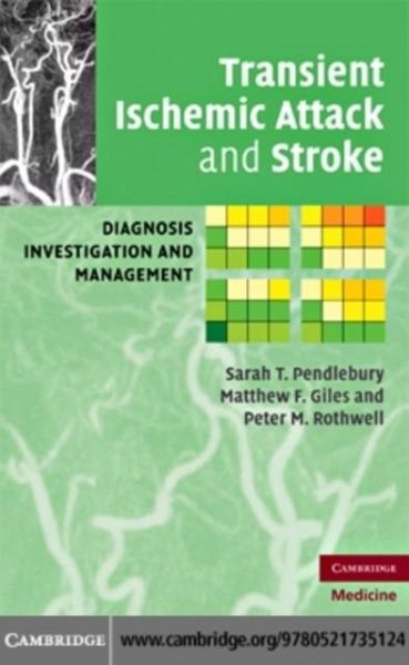 Transient Ischemic Attack and Stroke (eBook, PDF) Transient Ischemic Attack and Stroke (eBook, PDF)