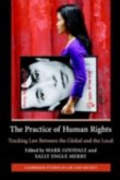 Practice of Human Rights (eBook, PDF)