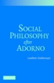 Social Philosophy after Adorno (eBook, PDF)