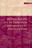 Welfare Reform and its Long-Term Consequences for America's Poor (eBook, PDF)