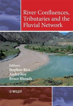 River Confluences, Tributaries and the Fluvial Network (eBook, PDF)