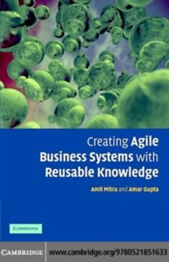 Creating Agile Business Systems with Reusable Knowledge (eBook, PDF) - Mitra, A.