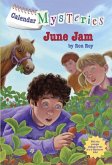 Calendar Mysteries #6: June Jam (eBook, ePUB)