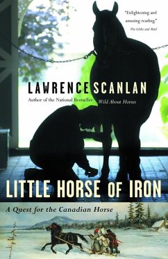 Little Horse of Iron (eBook, ePUB) - Scanlan, Lawrence