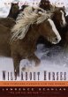 Wild About Horses (eBook, ePUB) - Bild 1