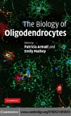 Biology of Oligodendrocytes (eBook, PDF)