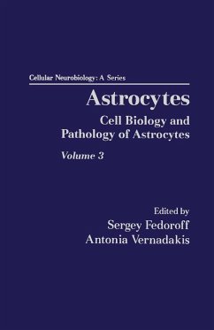 Cover Astrocytes Pt 3: Biochemistry, Physiology, and Pharmacology of Astrocytes (eBook, PDF)