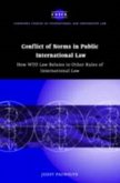 Conflict of Norms in Public International Law (eBook, PDF)