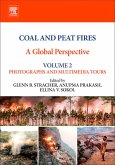 Coal and Peat Fires: A Global Perspective (eBook, ePUB)