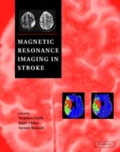 Magnetic Resonance Imaging in Stroke (eBook, PDF)