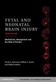 Fetal and Neonatal Brain Injury (eBook, PDF)