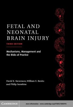 Cover Fetal and Neonatal Brain Injury (eBook, PDF)