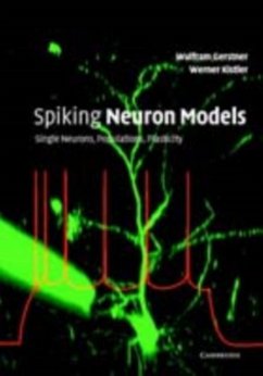 Spiking Neuron Models (eBook, PDF) - Gerstner, Wulfram