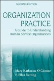 Organization Practice (eBook, PDF)