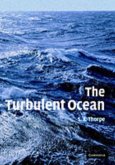 Turbulent Ocean (eBook, PDF)