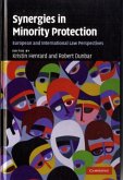 Synergies in Minority Protection (eBook, PDF)