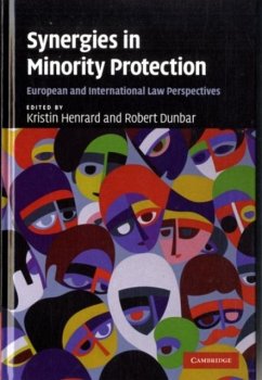 Cover Synergies in Minority Protection (eBook, PDF)