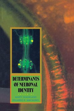 Determinants of Neuronal Identity (eBook, PDF)