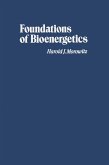 Foundations of Bioenergetics (eBook, PDF)