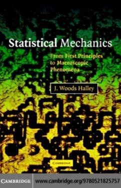 Statistical Mechanics (eBook, PDF) - Halley, J. Woods