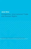 Companies, International Trade and Human Rights (eBook, PDF)
