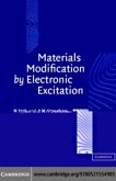 Materials Modification by Electronic Excitation (eBook, PDF)