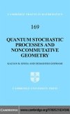 Quantum Stochastic Processes and Noncommutative Geometry (eBook, PDF) Quantum Stochastic Processes and Noncommutative Geometry (eBook, PDF)