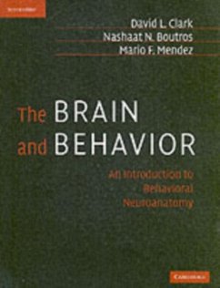 Brain and Behavior (eBook, PDF) - Clark, David L.