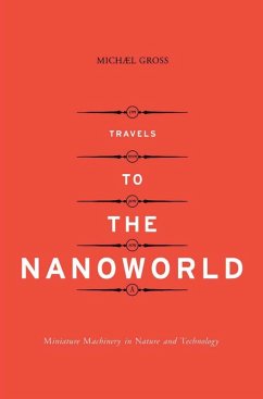 Travels To The Nanoworld (eBook, ePUB) - Gross, Michael