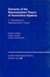 Elements of the Representation Theory... - Bild 1