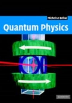 Quantum Physics (eBook, PDF) - Bellac, Michel Le