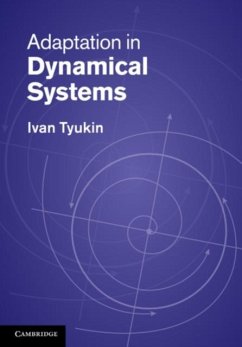Adaptation in Dynamical Systems (eBook, PDF) - Tyukin, Ivan