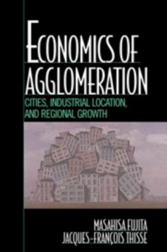 Economics of Agglomeration (eBook, PDF) - Fujita, Masahisa