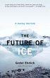 The Future of Ice (eBook, ePUB) - Bild 1
