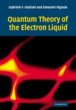 Quantum Theory of the Electron Liquid... - Bild 1