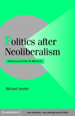 Politics after Neoliberalism (eBook, PDF) - Snyder, Richard