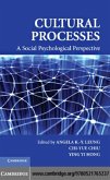 Cultural Processes (eBook, PDF)