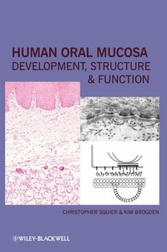 Human Oral Mucosa (eBook, PDF) - Squier, Christopher; Brogden, Kim