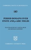Period Domains over Finite and p-adic Fields (eBook, PDF)