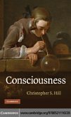 Consciousness (eBook, PDF)