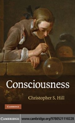 Cover Consciousness (eBook, PDF)