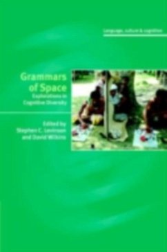 Grammars of Space (eBook, PDF)