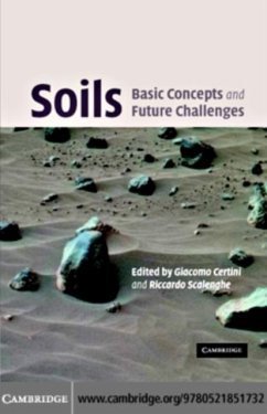 Soils: Basic Concepts and Future Challenges (eBook, PDF)