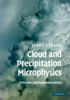 Cover Cloud and Precipitation Microphysics (eBook, PDF)