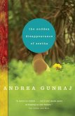 The Sudden Disappearance of Seetha (eBook, ePUB)