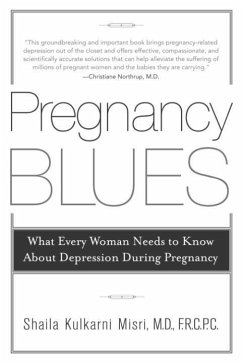 Cover Pregnancy Blues (eBook, ePUB)
