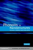 Phonons in Nanostructures (eBook, PDF) Phonons in Nanostructures (eBook, PDF)