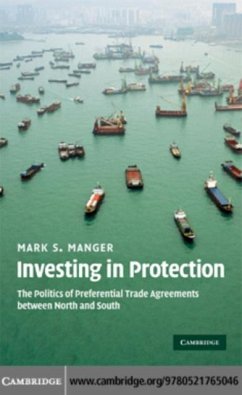 Investing in Protection (eBook, PDF) - Manger, Mark S.